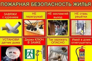 Read more about the article 