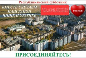 Read more about the article 