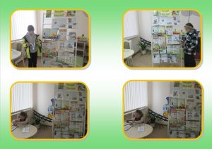 Read more about the article Минутки обучения “Большое уважение к правилам движения”