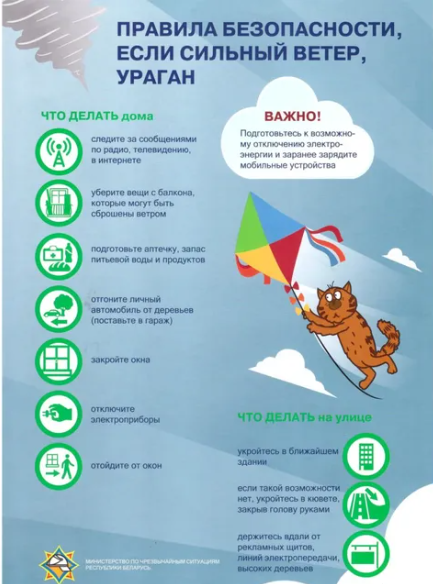 Read more about the article Рекомендации при сильном ветре