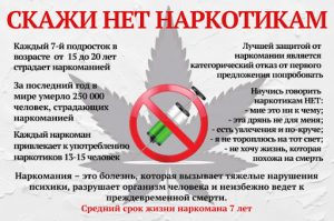 Read more about the article Скажи наркотикам — НЕТ