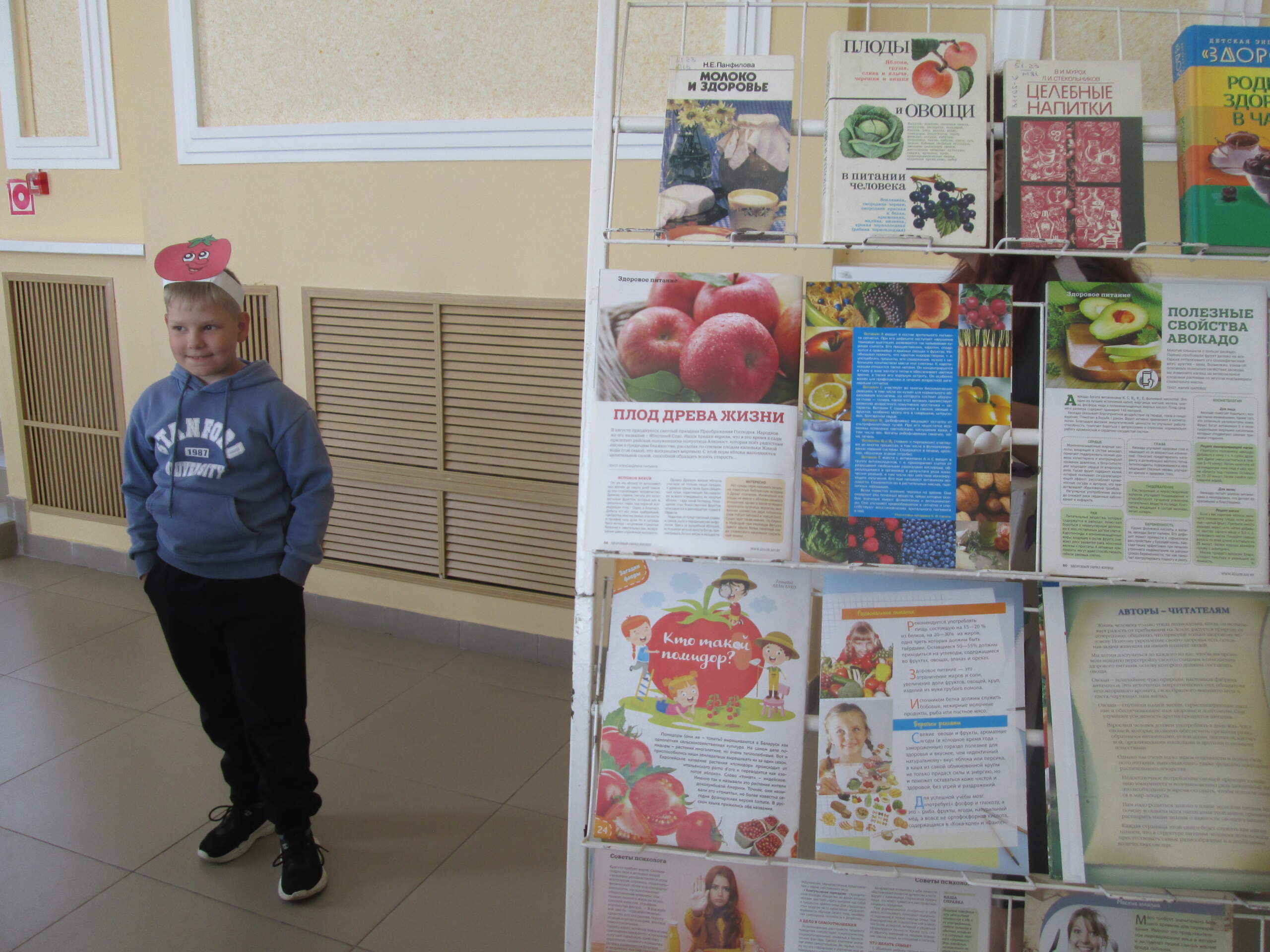Read more about the article Игра-тренинг «Формулы здорового питания»